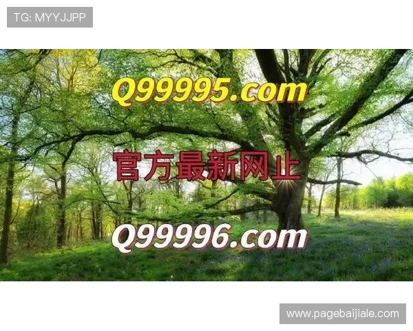 ag真人平台官方游戏种类丰富多样满足不同玩家的娱乐需求 ag真人平台官方游戏种类丰富多样满足不同玩家的娱乐需求