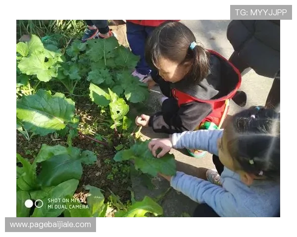 凯发真人集团官网首页提供最全面的在线娱乐体验和最新优惠活动推荐